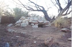 View of a rock-encased burrow